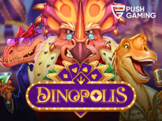 Casino bingo slots29